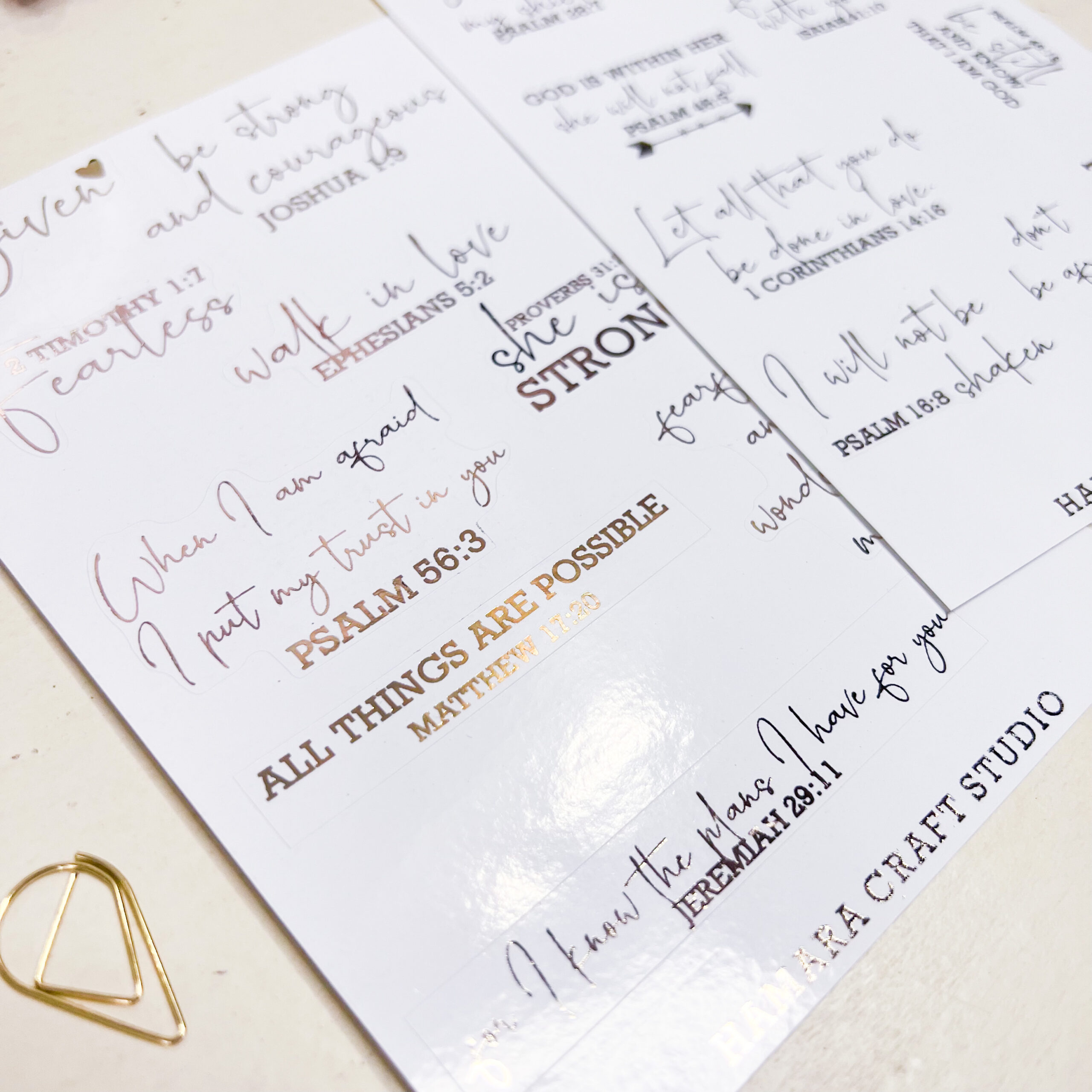 31434D6C-7F88-4C50-92DA-D039C4260894