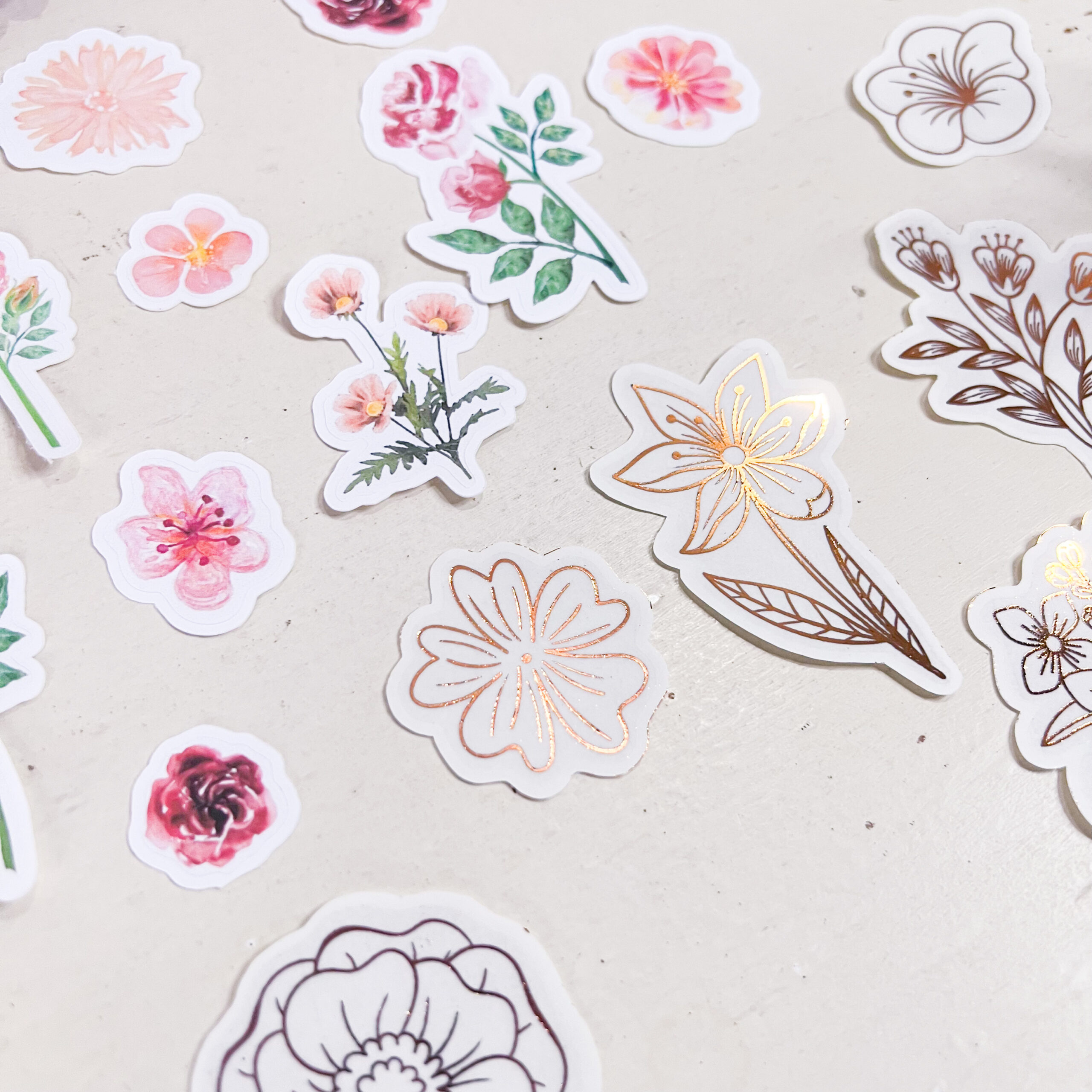 A12570CF-E257-4962-AC68-F46F00C71FB0