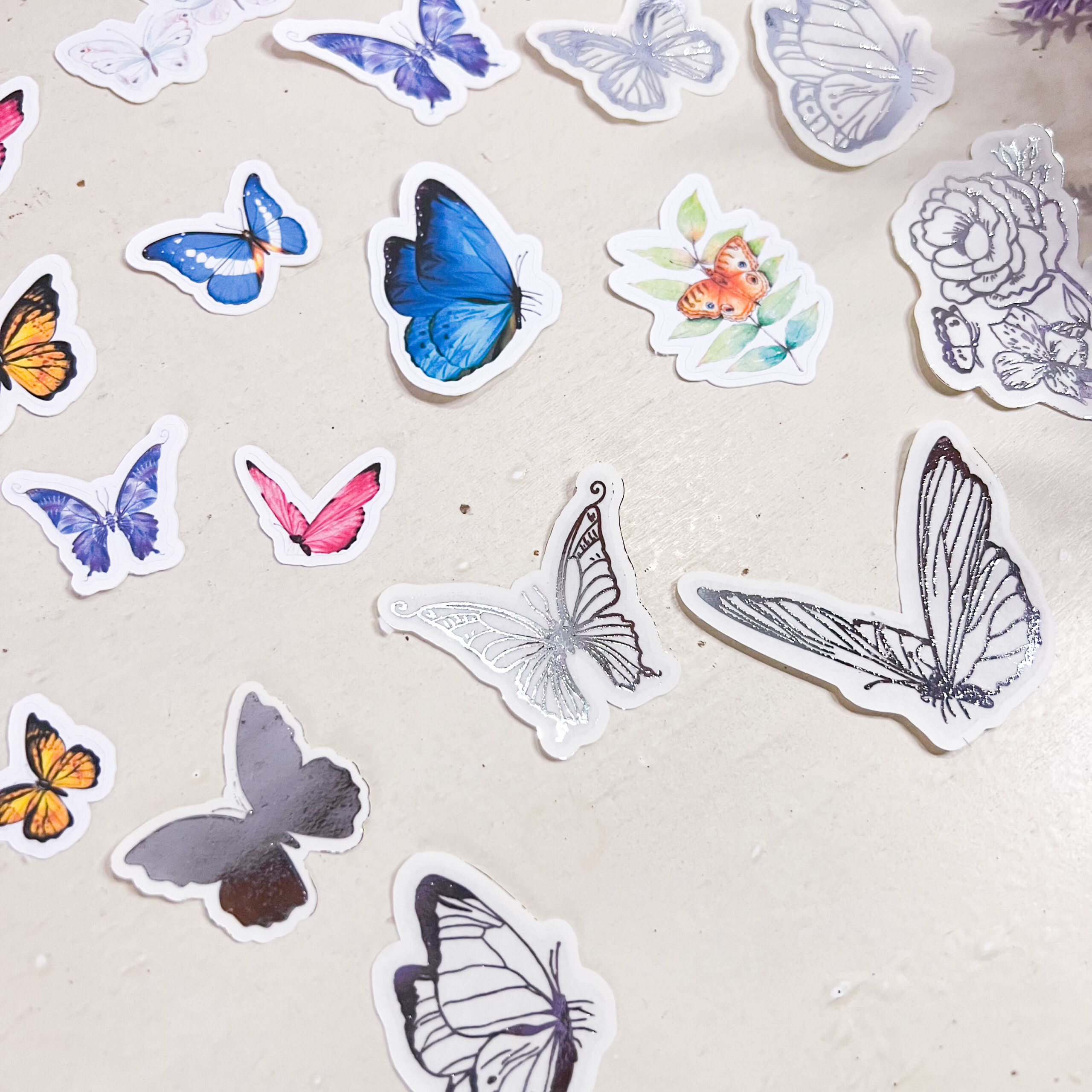 E85AB3B1-34EF-4159-87EB-159AFF003423