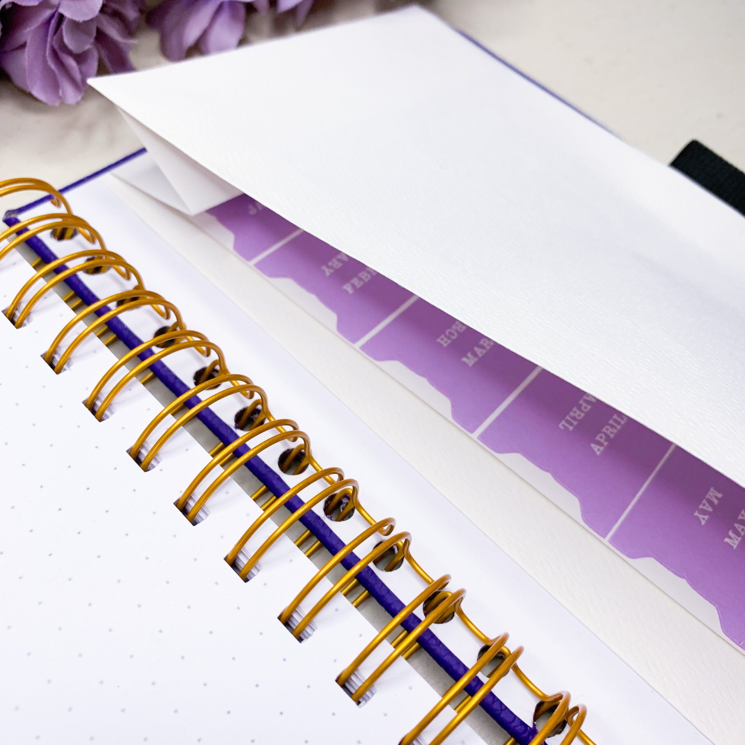 ED08F4BE-5866-4BED-8C1D-6EE7A43DB727