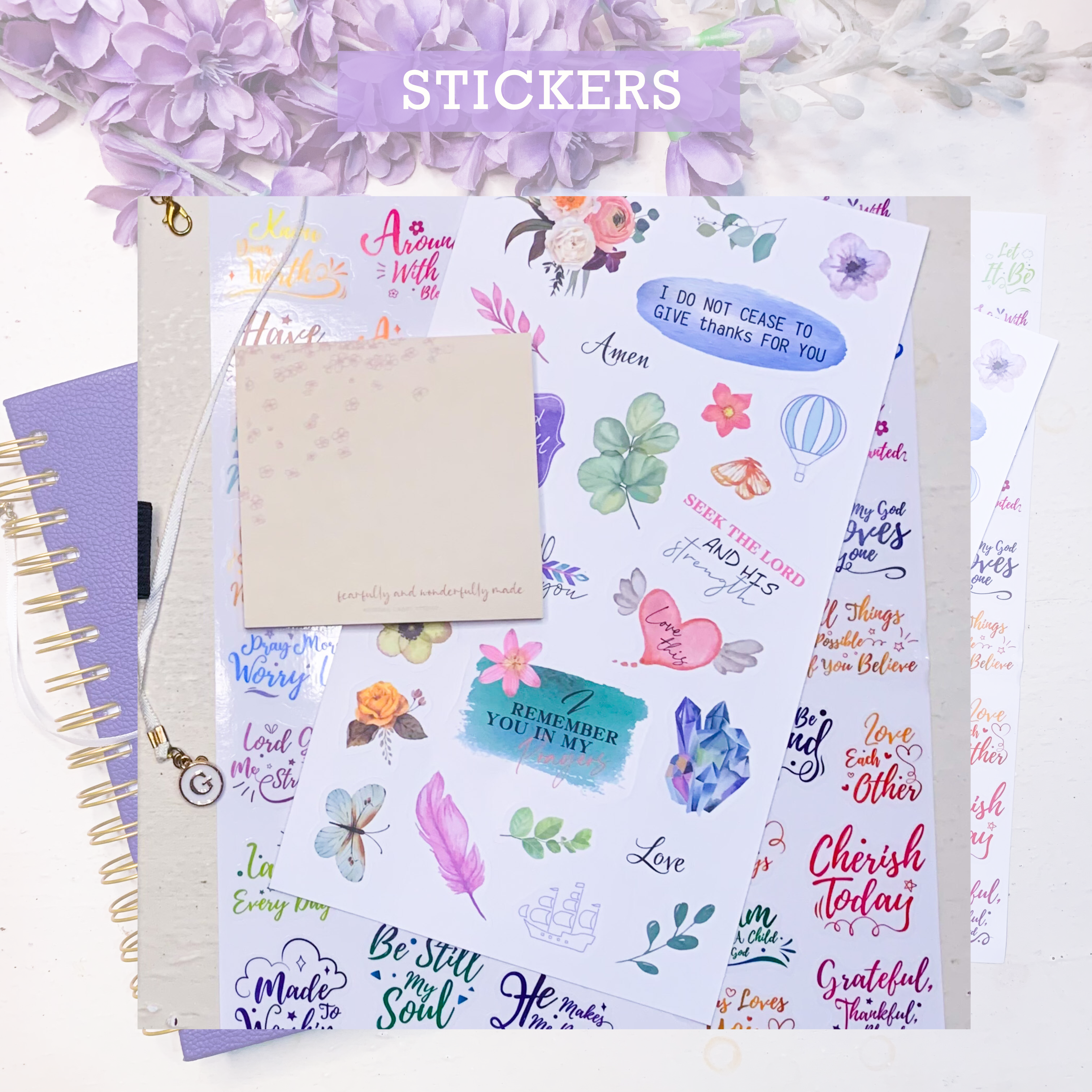 47720BA7-4020-4082-B149-1DDDC9F8D062 (2)