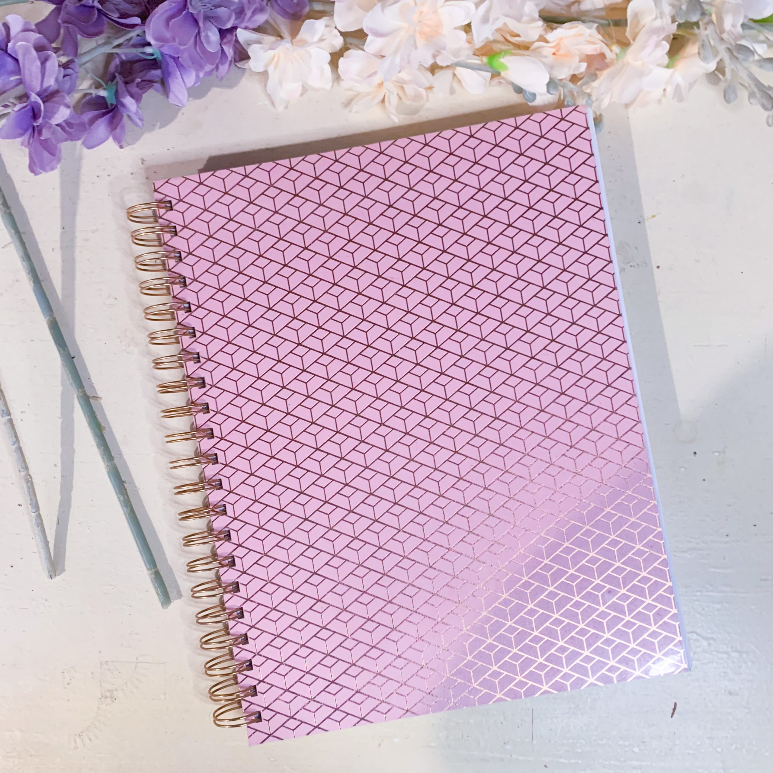 CB8F4847-2231-4D62-A8B4-3CE89227426B