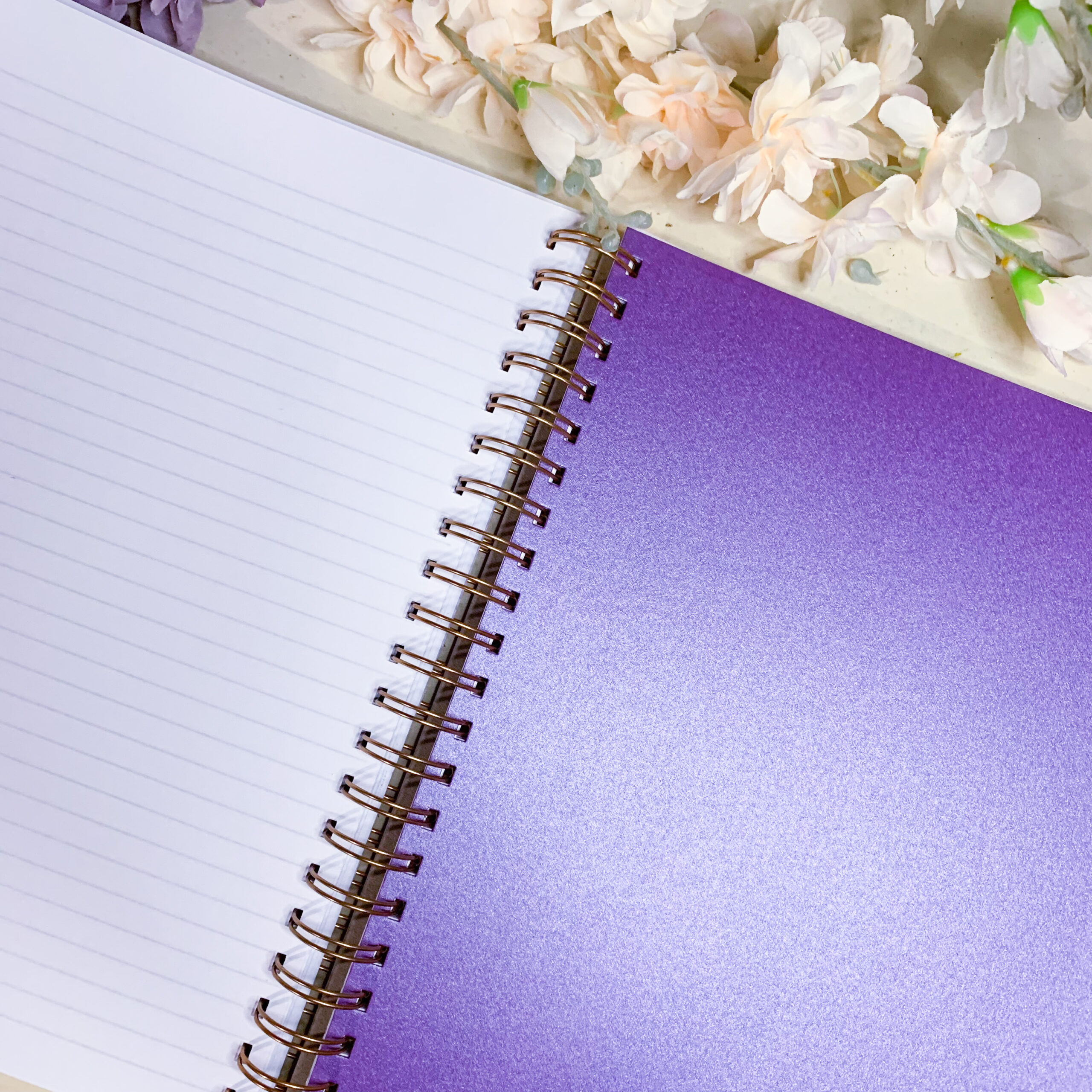 E7D0EFBF-1789-4A0D-B7B4-A4C301DF3764